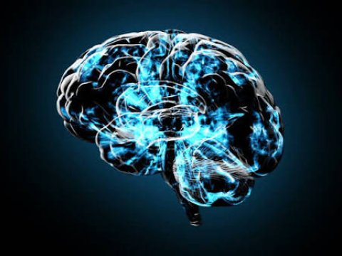 Bu vərdişlər intellektimizi zəiflədir