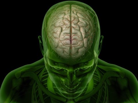 Piylənmə yalnız bədənə yox, beyinə də zərər vurur