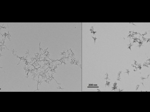 ABŞ alimləri xərçəng hüceyrələrini məhv edən nanomaterial hazırlayıblar