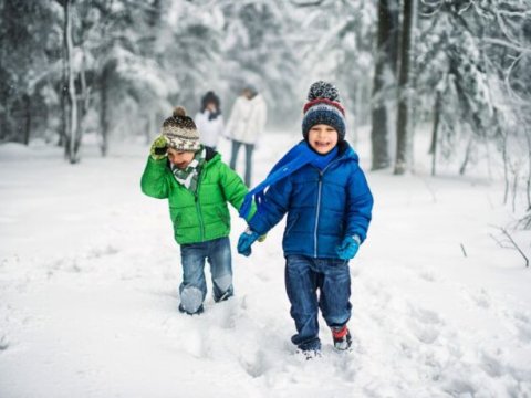 Зимние каникулы: Дети должны быть вдали от занятий, ближе к отдыху - ПЕДАГОГ