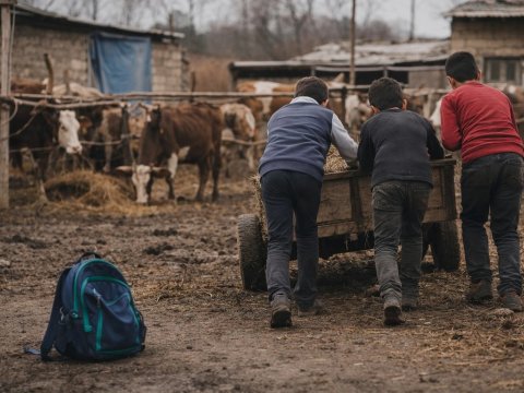 Cəlilabadda dörd qardaş məktəb üzü görmür