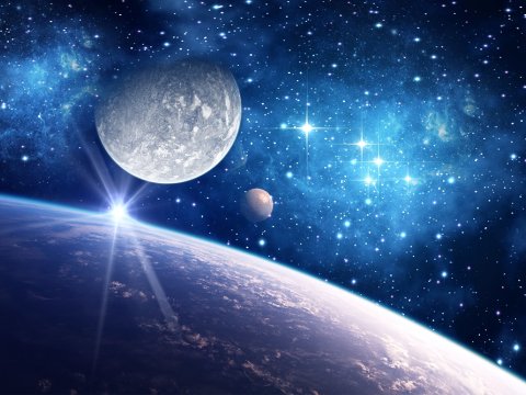 Tarixdə ilk dəfə kosmosda kəpənək sürfədən çıxdı