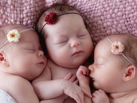 Lənkəranda üçəm&nbsp;dünyaya gəlib- FOTO