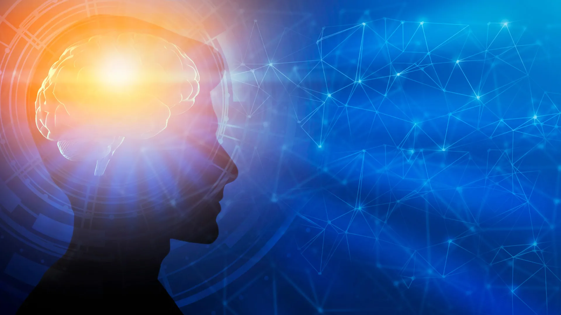 İnsan beyninin inkişafı 25 yaşda bitmir -&nbsp;tədqiqat nəticələri