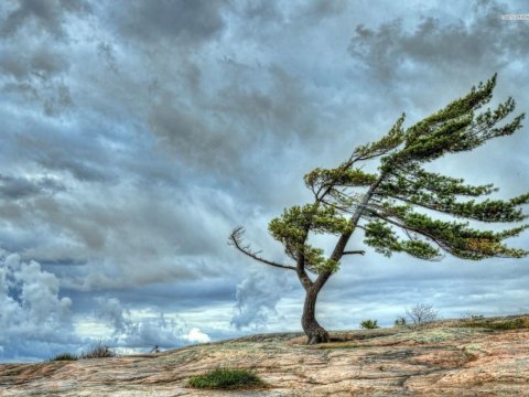 Küləkli hava şəraiti davam edir - FAKTİKİ HAVA&nbsp;