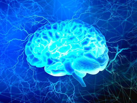 Məşq beynimizi necə qoruyur? -&nbsp;&nbsp;Alimlər mexanizmi açıqladı