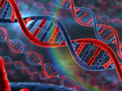 Hidrogen bağları olmadan yeni DNT strukturu yaradılıb