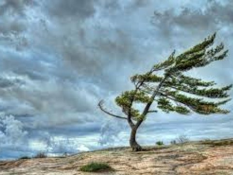 Bəzi yerlərdə külək güclənəcək