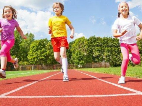 Təhsildə idman məsələsi problemə çevirilib