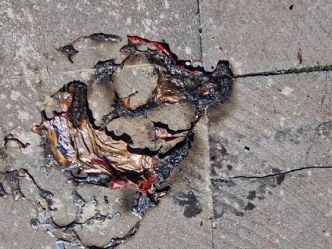 Helium qazlı şarlar partladı: 2 uşaq yaralandı