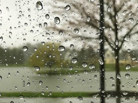 Sabahın havası açıqlanıb