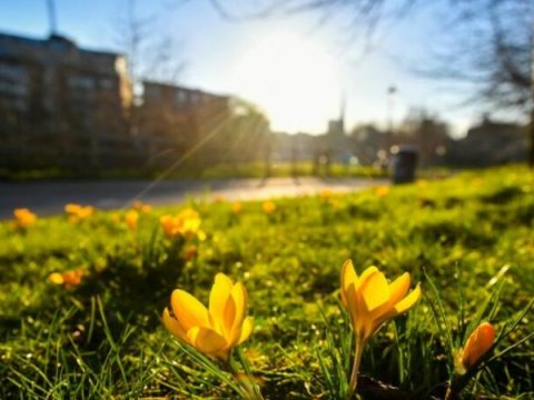 11 dərəcə isti...- Günün havası&nbsp;