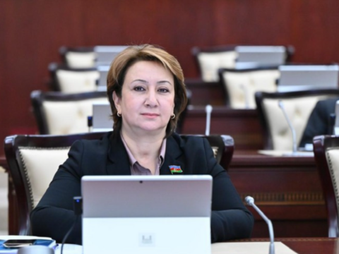 Məktəblərdə təhsil və mədəniyyət birləşdirilməlidir