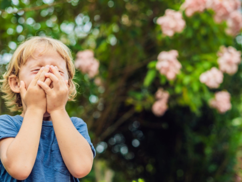 Spring is coming, allergies are increasing -&nbsp;How to protect children from pollen allergy?