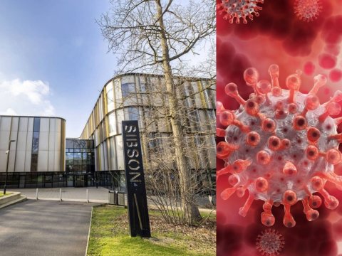 İngiltərədə meningit yayılıb: tələbələr arasında yoluxma