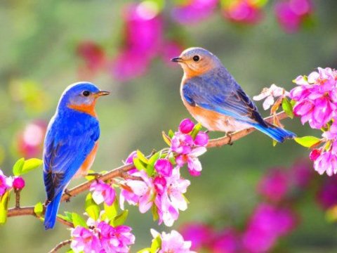 Azərbaycana&nbsp;Yaz fəsli gəlir