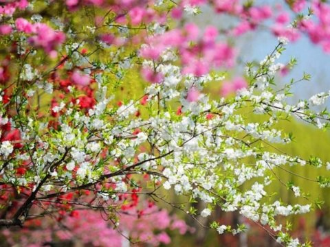 17 dərəcə isti...-GÜNÜN HAVASI