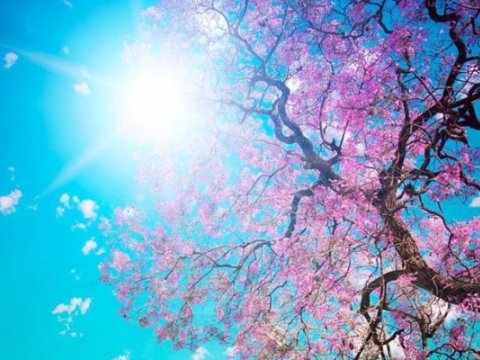 23 mart- Ümumdünya meteorologiya günüdür