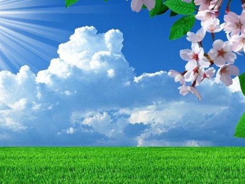 Sabah 23 dərəcə isti olacaq