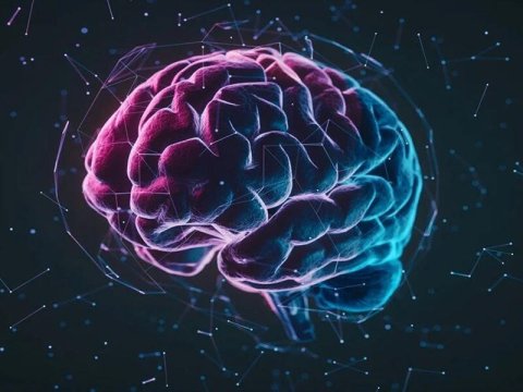 Alimlərdən maraqlı araşdırma