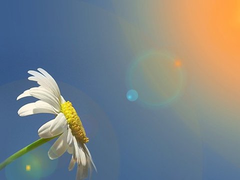 Aprelin ilk günündə 25&nbsp;dərəcə isti olacaq