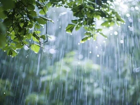 Sabah&nbsp;yağış yağacaq, güclü külək əsəcək