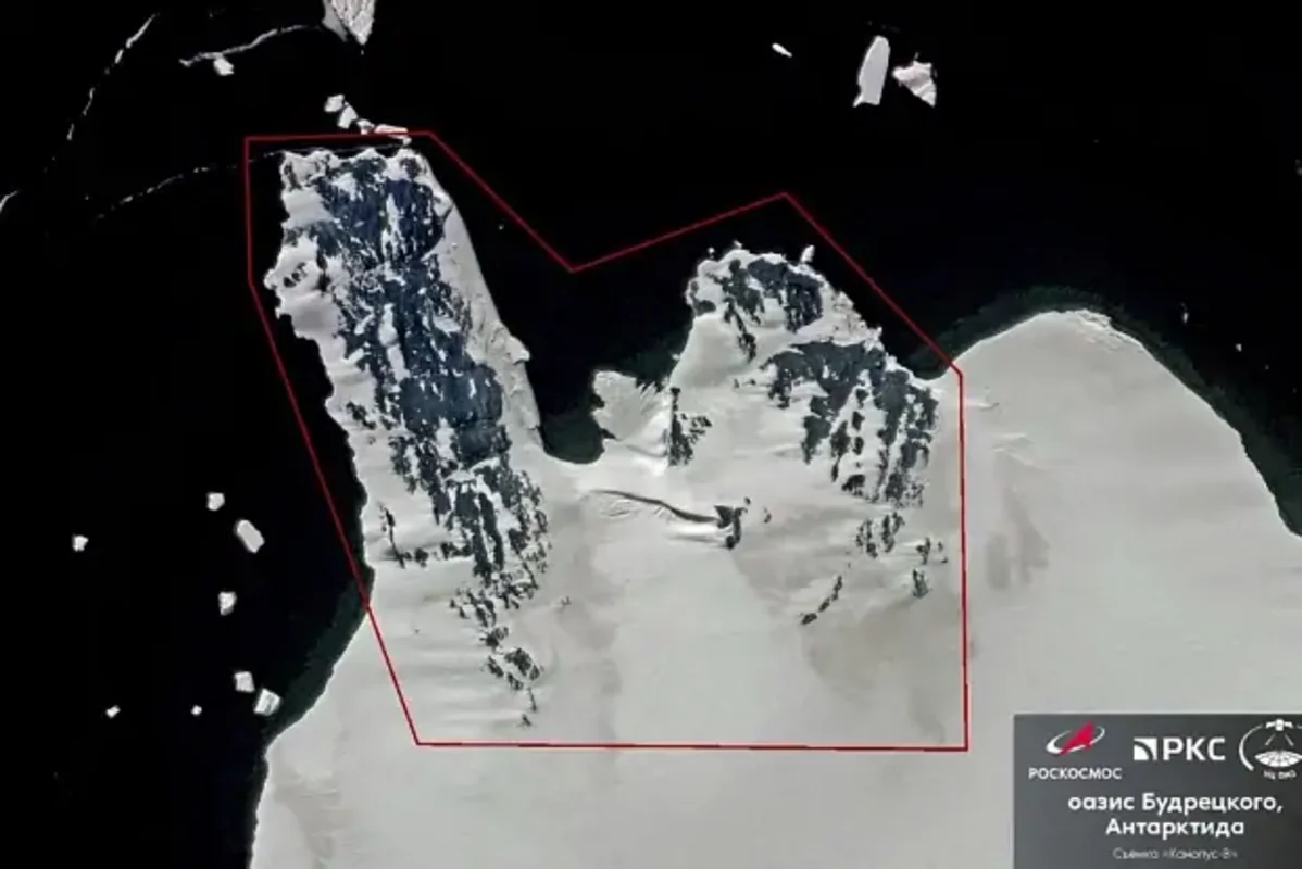 Alimlər Antarktidada vahə kəşf ediblər