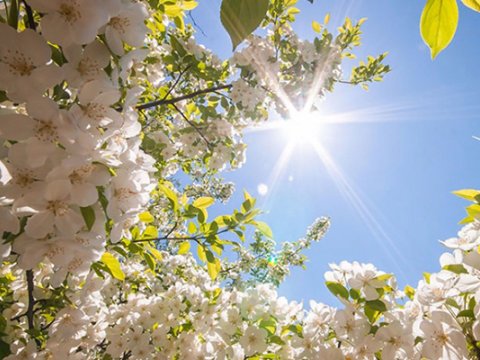 Sabah Bakıda 17 dərəcə isti olacaq - PROQNOZ