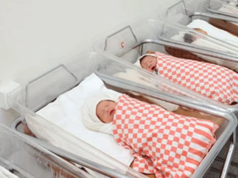 Ötən dövr ərzində 522 əkiz, 21 üçəm doğulub