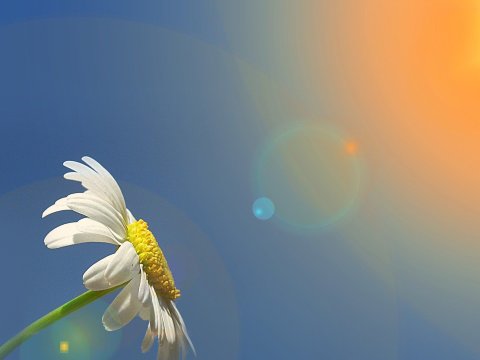 Sabah 21 dərəcə isti olacaq