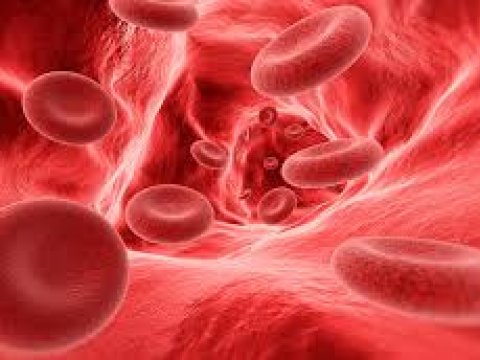 Bu gün Ümumdünya Hemofiliya Günüdür