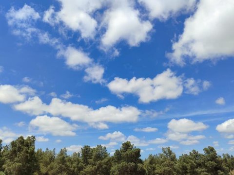 Bu gün 23 dərəcə isti olacaq