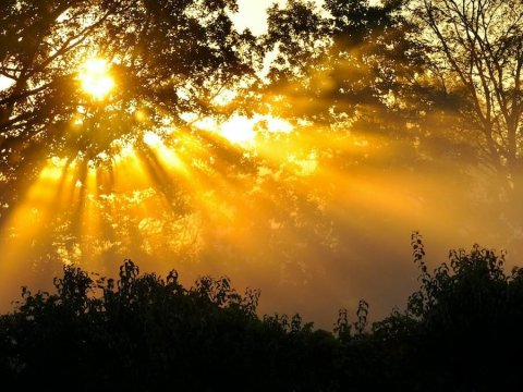 Bahar günəşi dərinizə ciddi zərər verə bilər