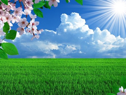 Какая сегодня будет погода?