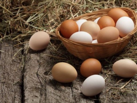 Min bir dərdin dərmanı