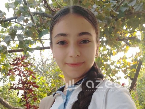 Salyan məktəblisi buraxılışdan yüksək bal TOPLADI