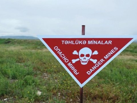 Bu şəxslərin təhsil haqqını dövlət ödəyəcək