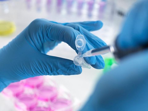 Universitetdə gizli qanunsuz maddə istehsalı: imtahanlar təxirə salındı