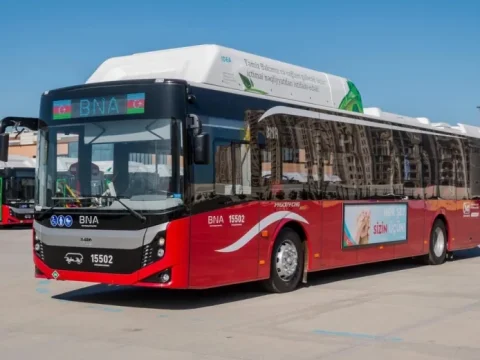 WUF13 sırasında bu kişiler için ulaşım ücretsiz olacak