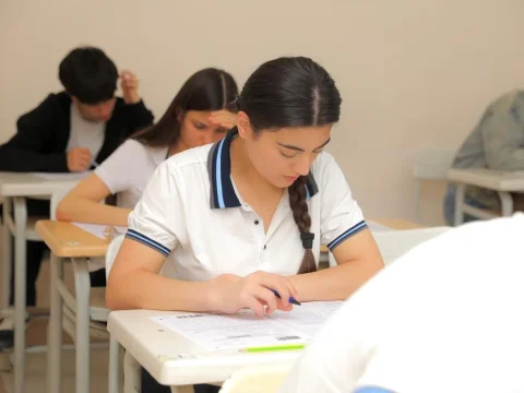 "Şagirdlərin çoxu universiteti oxumaq üçün deyil, tələbə olmaq üçün seçir"