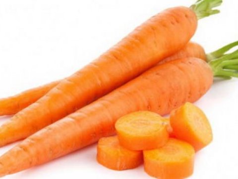 Alimlər kökün ömrü uzatdığını sübut etdilər
