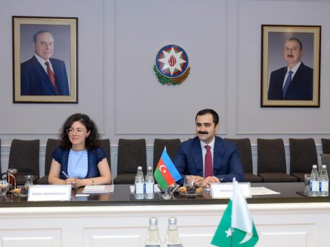 Elm və təhsil nazirinin müavini Pakistanın dövlət naziri ilə görüşüb