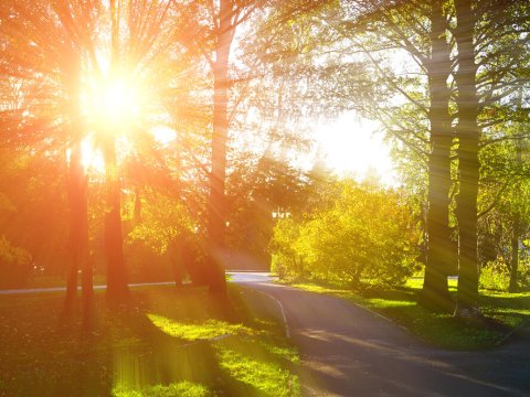 Bu gün hava&nbsp;40 dərəcə isti olacaq