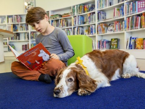 Finlandiyada uşaqlar müəllimə yox, itlərə kitab oxuyur