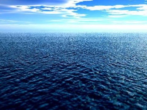 Alimlər 149 yeni dərin dəniz canlısı aşkarladılar