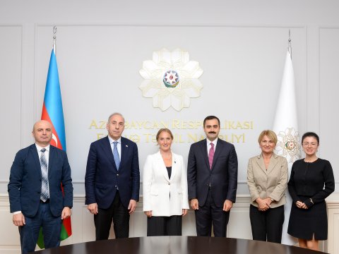 Həsən Həsənli Gürcüstan parlamentinin komitə sədri ilə görüşüb