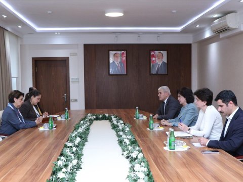 Meksikanın qədim irsi AzMİU tələbələri tərəfindən canlandırılacaq