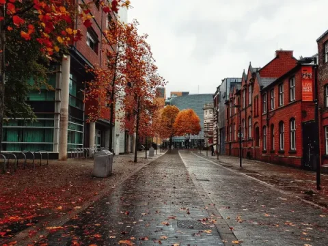 Mançester Universiteti Hindistanda yeni mərkəz açacaq