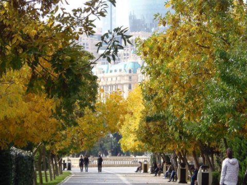 Sabah&nbsp;30 dərəcə&nbsp;isti olacaq