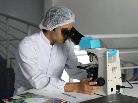 Azərbaycanda gənc tədqiqatçıların sayı AZALIB